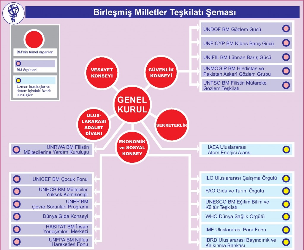 Birleşmiş Milletler Teşkilatı Şeması