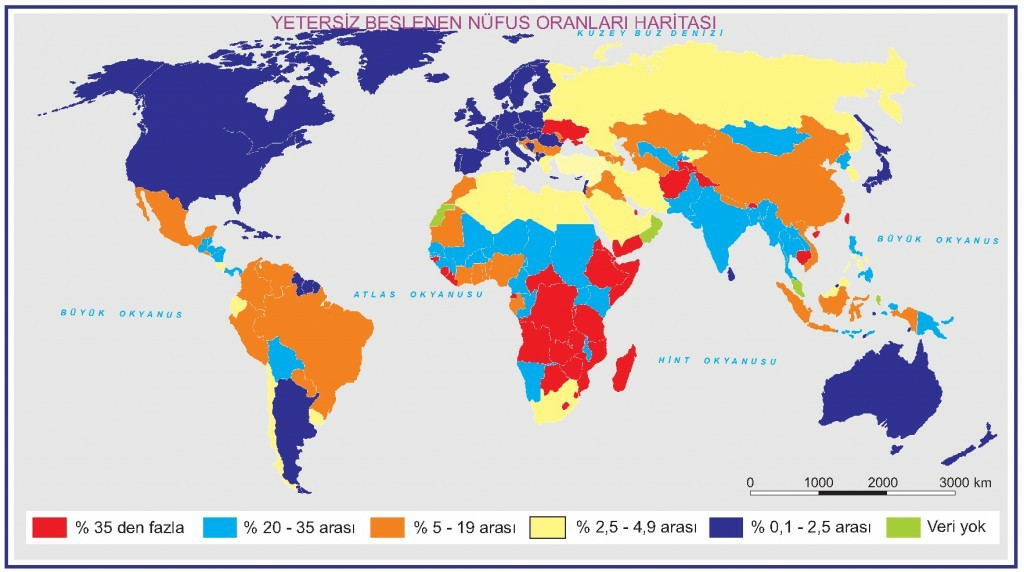 Yetersiz Beslenen Nüfus Oranları Haritası