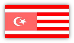turkistan bayrak
